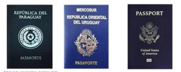 各国护照颜色,世界各国护照的种类