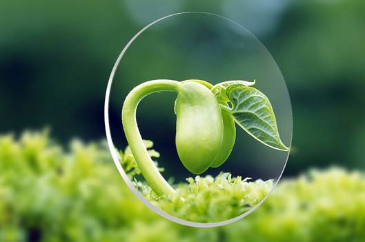 来自日本的超轻老花镜，轻如纸片，而且折不断