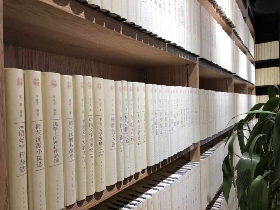 双11购车手册,双十一买书架