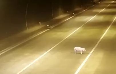 欠费上千万！万豪国际、诚基中心等小区被停电催费；一边说美一边践踏，济南画家村刚铺的草坪遭殃；问卷没按答案抄，家长被老师踢出群