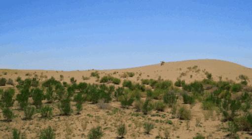 闪购|秋季滋补哪家强？当令食材之铁棍山药、板栗南瓜可以有