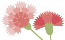 怀孕初期孕妇食物表,准妈妈怀孕前期注意事项与食谱