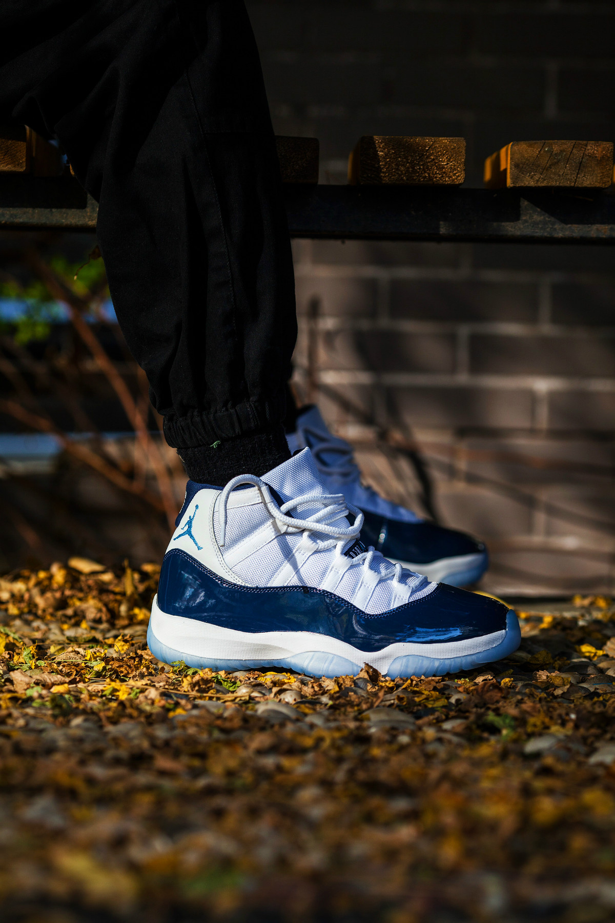 关于aj11必须知道的四件事,aj11的真正用法