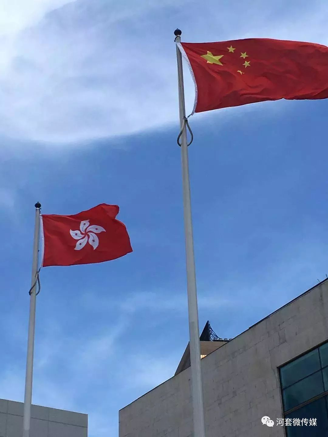 新闻早知道鸿雁知天下,鸿雁知天下最新新闻