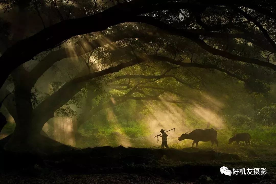 单反相机坏了去哪里维修,相机维修注意事项