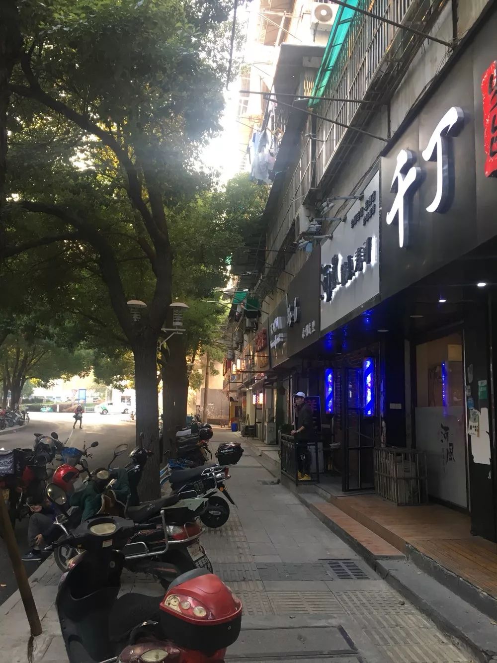 「3838110」华兴街香樟树繁茂挡光,可以修剪吗?