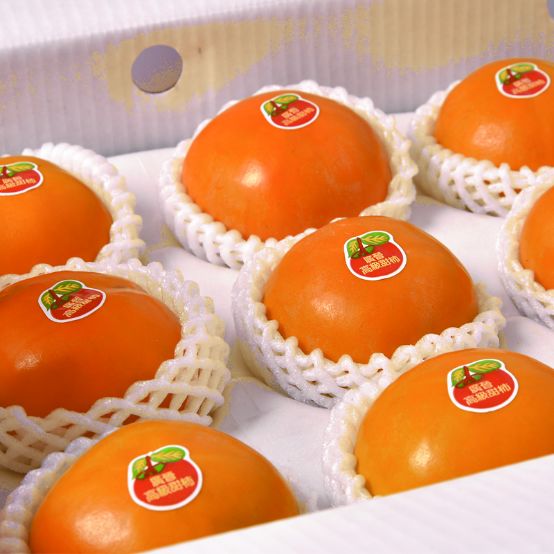 1036有礼啦！花开两岸，柿柿如意——10月20号自驾游报名啦！