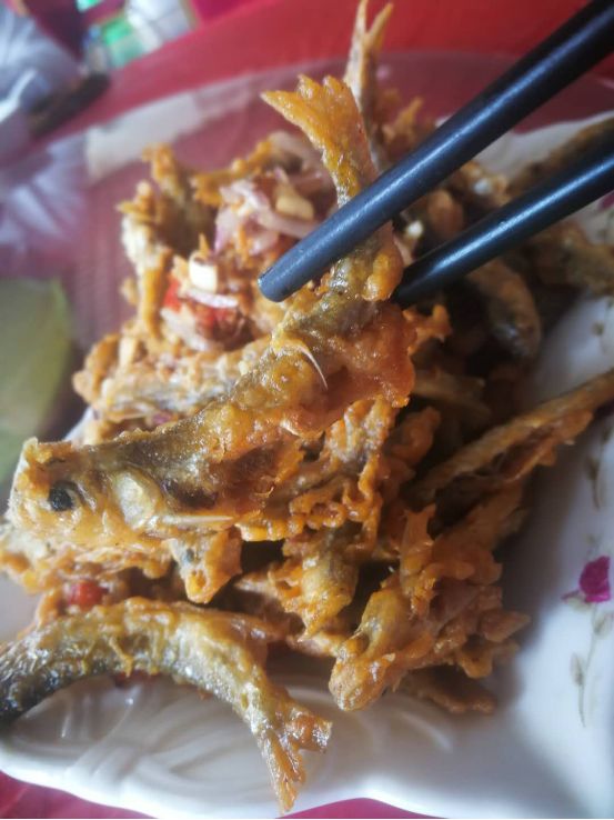 1036有礼啦！花开两岸，柿柿如意——10月20号自驾游报名啦！