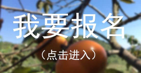 1036有礼啦！花开两岸，柿柿如意——10月20号自驾游报名啦！