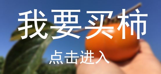 1036有礼啦！花开两岸，柿柿如意——10月20号自驾游报名啦！
