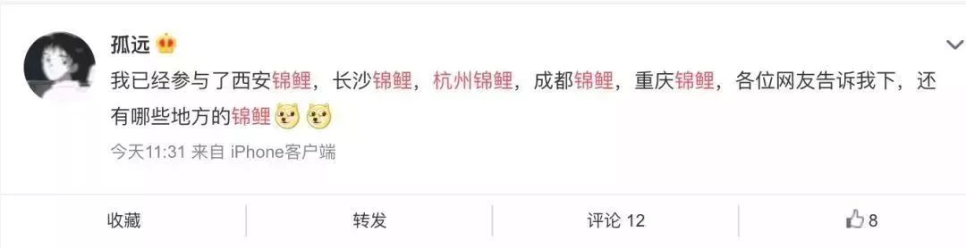 福建人当心!锦鲤*局骗**肆虐,至少50多万人上当!