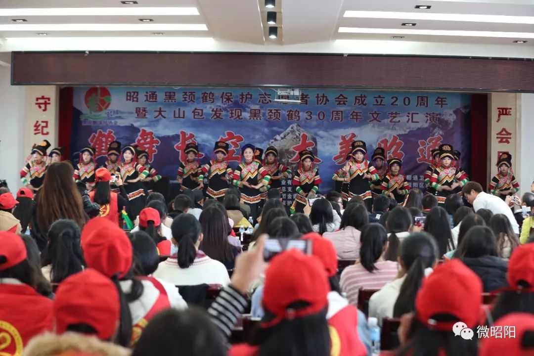 历经20载风雨,为黑颈鹤筑一个温暖的家