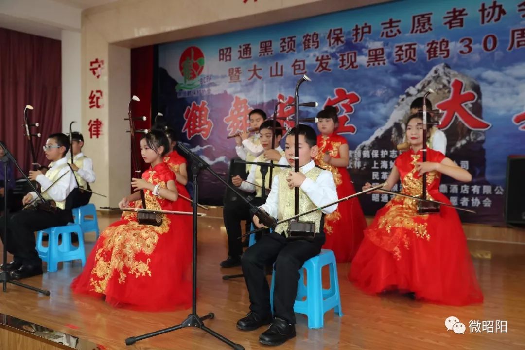 历经20载风雨,为黑颈鹤筑一个温暖的家