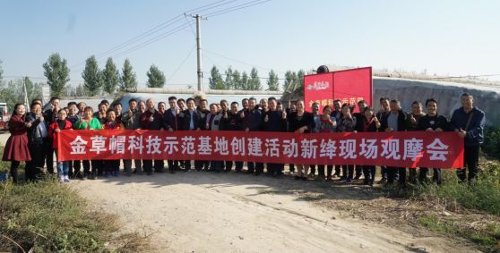 用它一茬多赚近2万:种地老把式再不愁销路,经销商惊叹这产品要火!