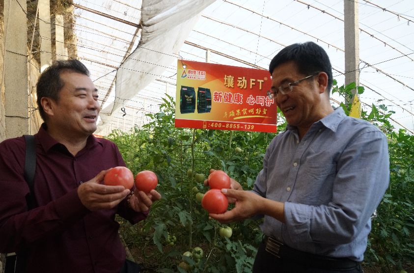 用它一茬多赚近2万:种地老把式再不愁销路,经销商惊叹这产品要火!