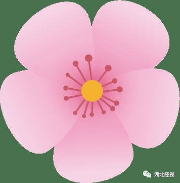 武汉周边最美秋天,武汉秋景最好的地方