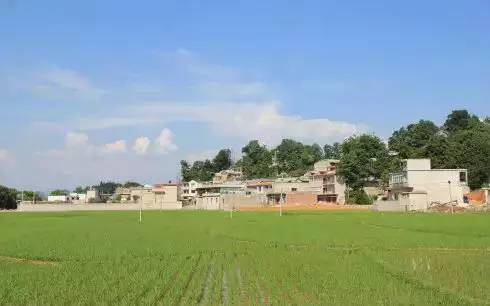 史上最强旅游攻略,最新最强攻略