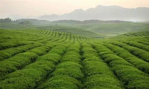 史上最强旅游攻略,最新最强攻略