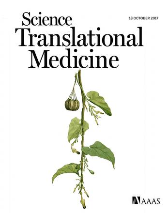 中药哪几种含马兜铃酸致癌,马兜铃酸与肝癌事件述评