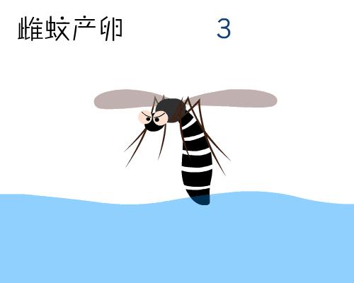 大雨后怎么预防传染病,暴雨灾后怎么预防传染病