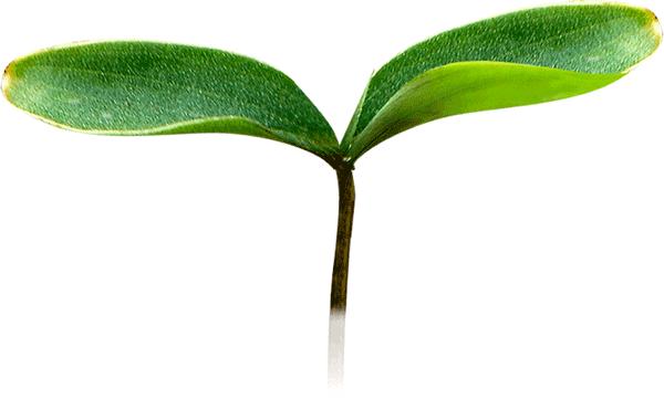 警惕骗子新套路,微信购物抽奖骗局怎么退款