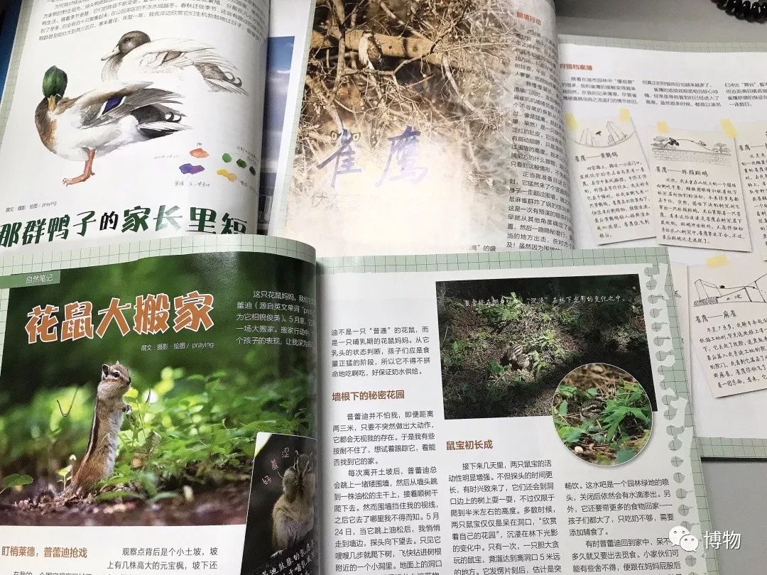 想跟博物一起外出采风?春节我们滇西见