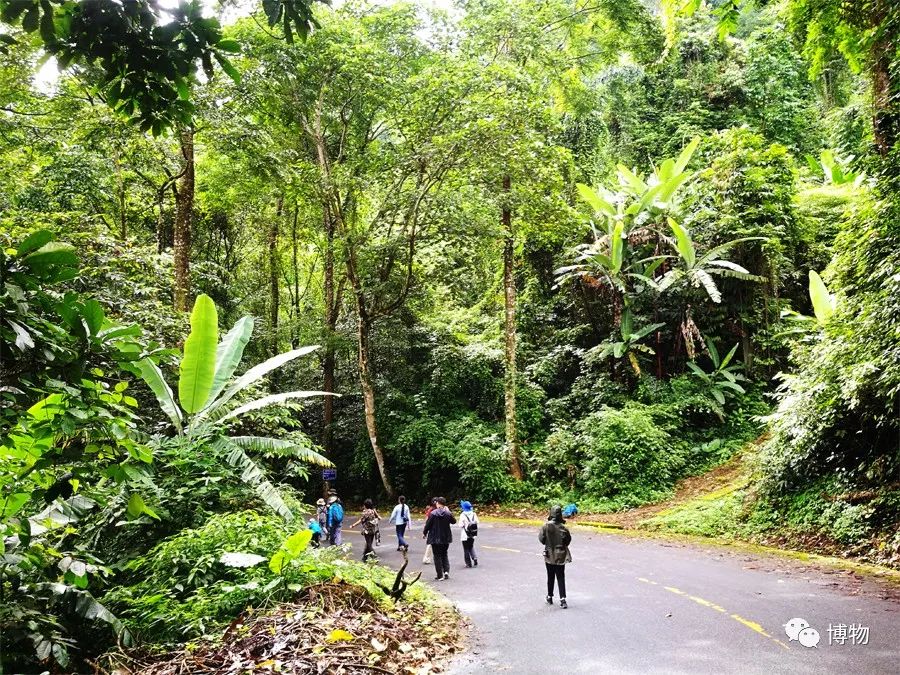 想跟博物一起外出采风?春节我们滇西见