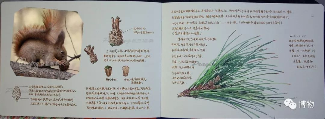 想跟博物一起外出采风?春节我们滇西见