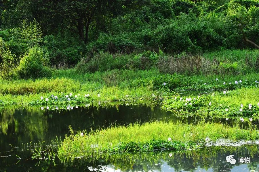 想跟博物一起外出采风?春节我们滇西见