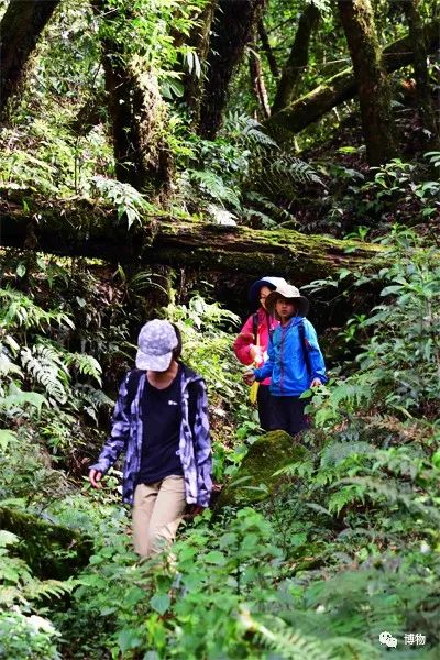 想跟博物一起外出采风?春节我们滇西见