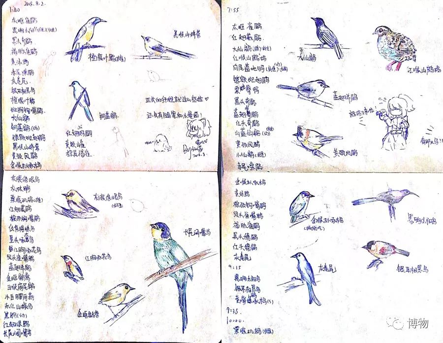 想跟博物一起外出采风?春节我们滇西见