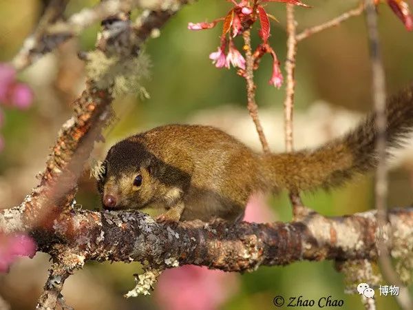 想跟博物一起外出采风？春节我们滇西见
