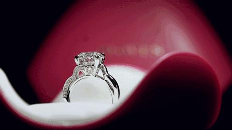 真相！家有未婚成员的再忙也要看一下