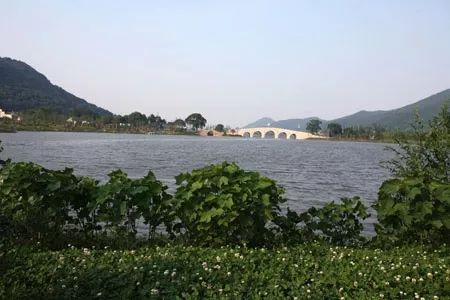 杭州赏桂花好去处,杭州赏桂花最好的地方