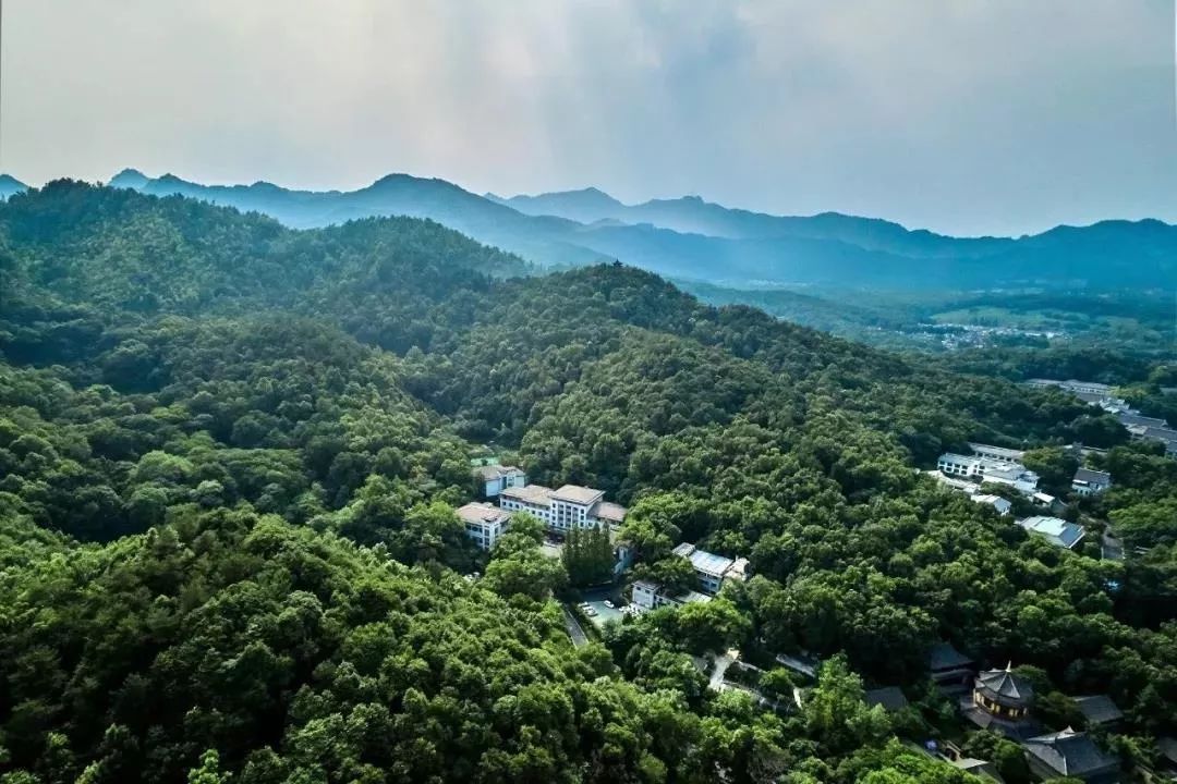 杭州赏桂花好去处,杭州赏桂花最好的地方