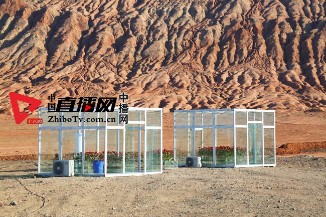 奥克斯空调市场格局,奥克斯空调转型