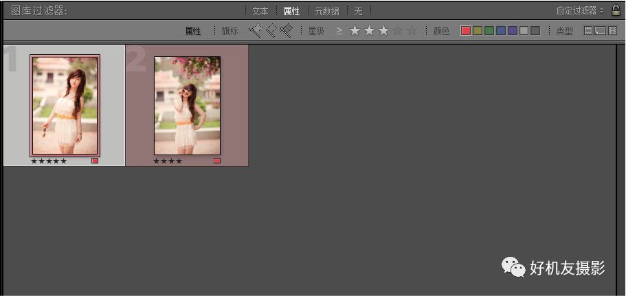 Lightroom学习连载4——浏览与管理照片的方法讲解