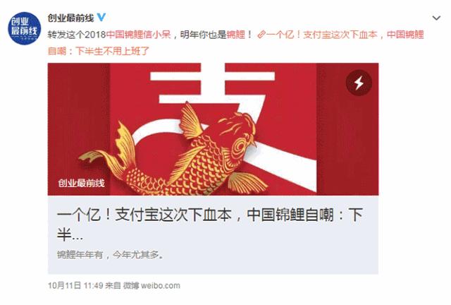 还在等什么!中国·普陀“舟山带鱼”宴寻找“锦带”!超多大奖独宠你一人!