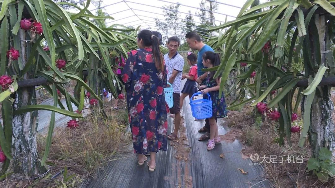 魅力中国城崇左vs大足视频,魅力中国城让你知道