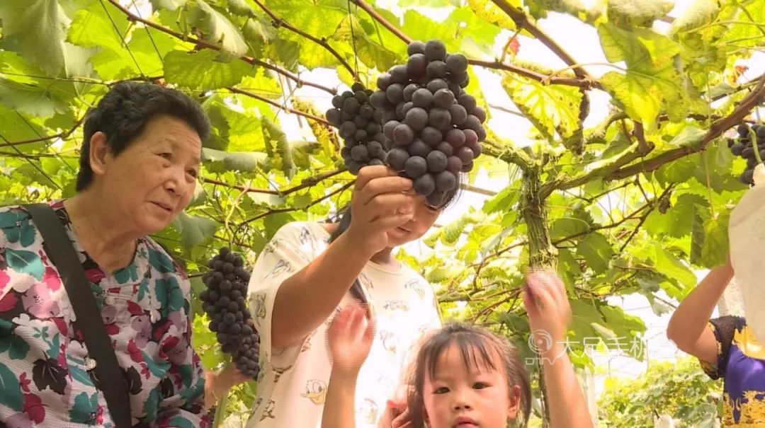 魅力中国城崇左vs大足视频,魅力中国城让你知道