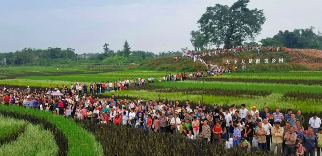 魅力中国城崇左vs大足视频,魅力中国城让你知道