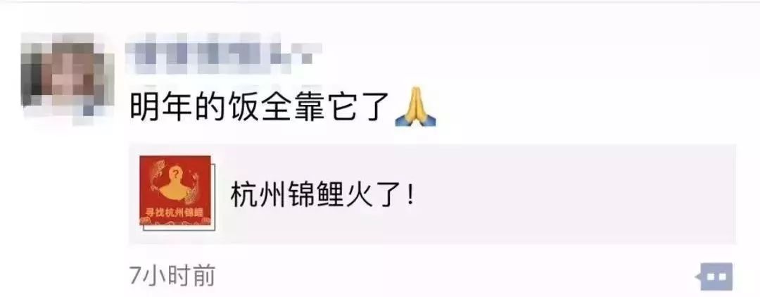 锦鲤活动什么时候开始,锦鲤活动啥时候开始