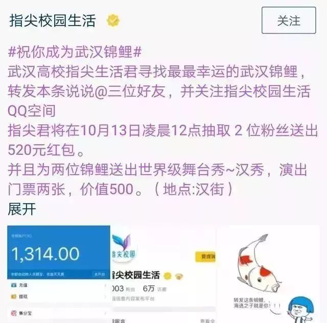 锦鲤活动什么时候开始,锦鲤活动啥时候开始