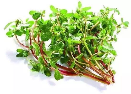 实用药品贴,天然消炎药食物有哪些