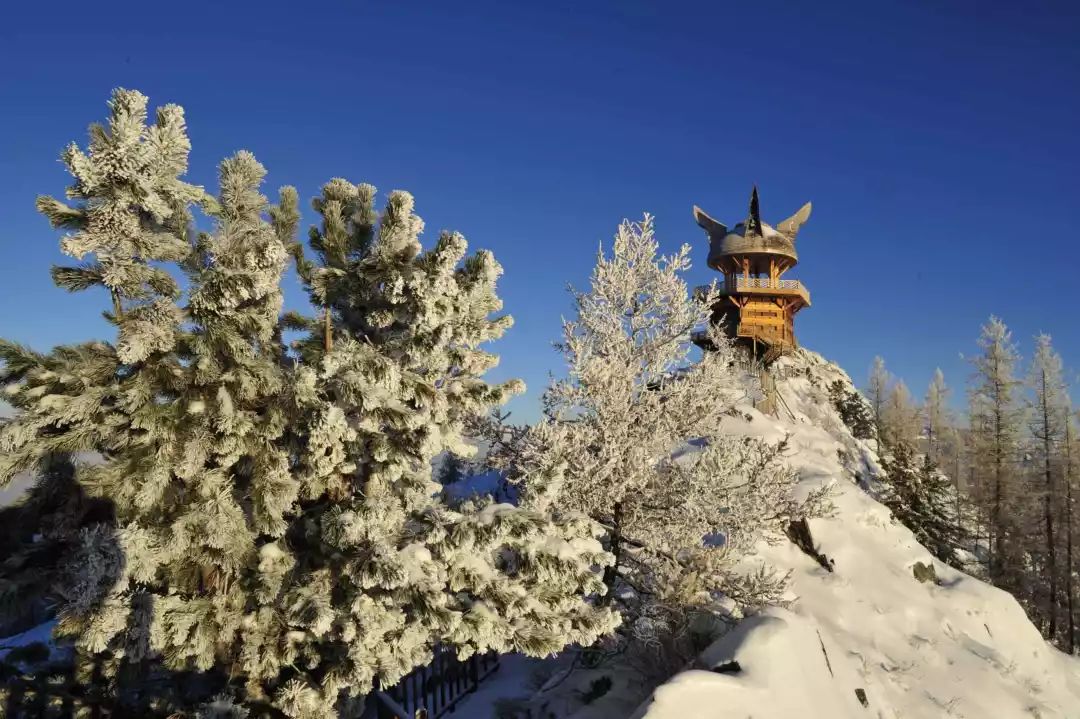 资讯|早春出游天津航空疆内航线100元起特价优惠