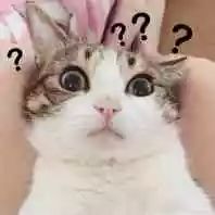 借5万还15万还不够竟怒砍放贷人,大学老师深陷套路贷