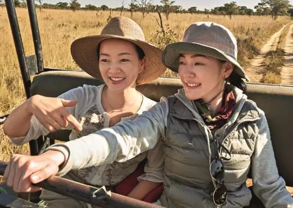 新刊预告丨美国激变：影响全球的一场内斗