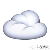 花市买10元3盆多肉,武汉多肉花卉便宜