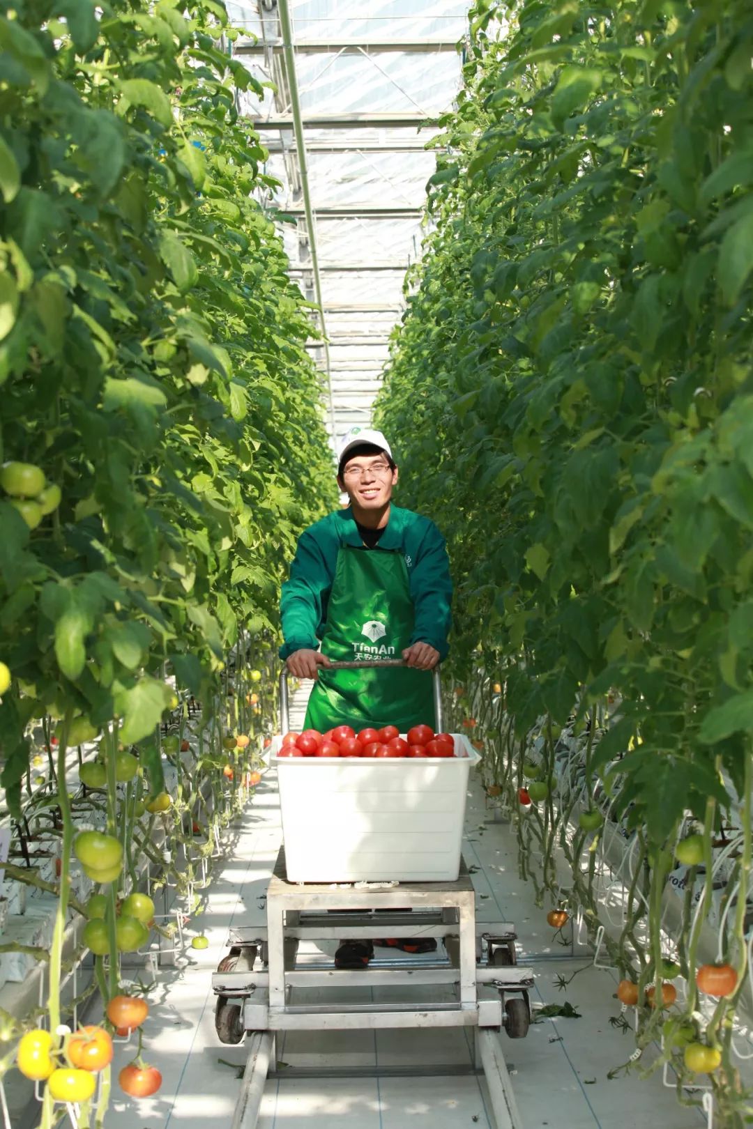 本周五晚上去哪里玩比较好,本周末北京适合去哪里玩