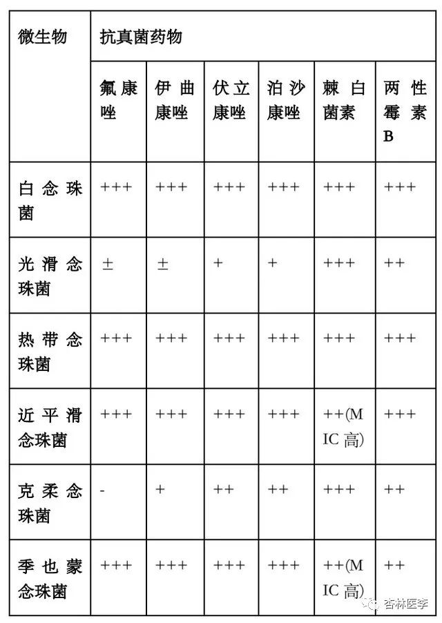 扒一扒临床常见的真菌……